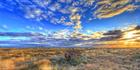 Bucklow Station - NSW T (PB5D 00 2625)
